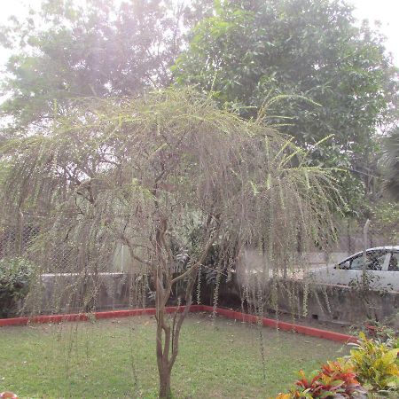 Aayesh Bed & Breakfast Shanti Niketan Exterior photo