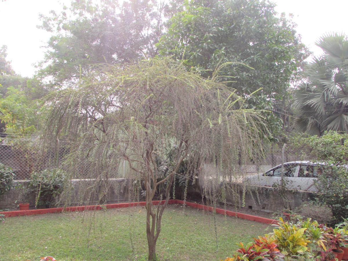 Aayesh Bed & Breakfast Shanti Niketan Exterior photo